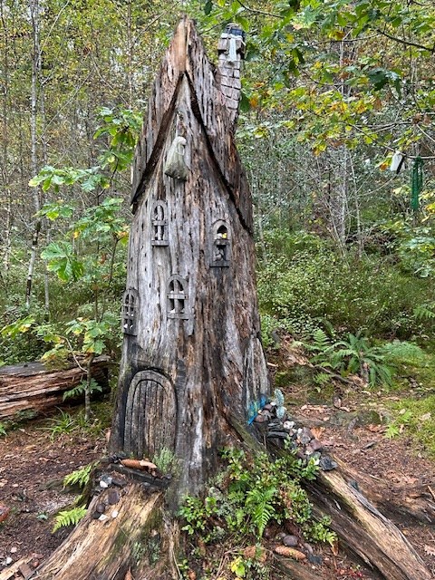 Woodland Sculpture Doon Hill