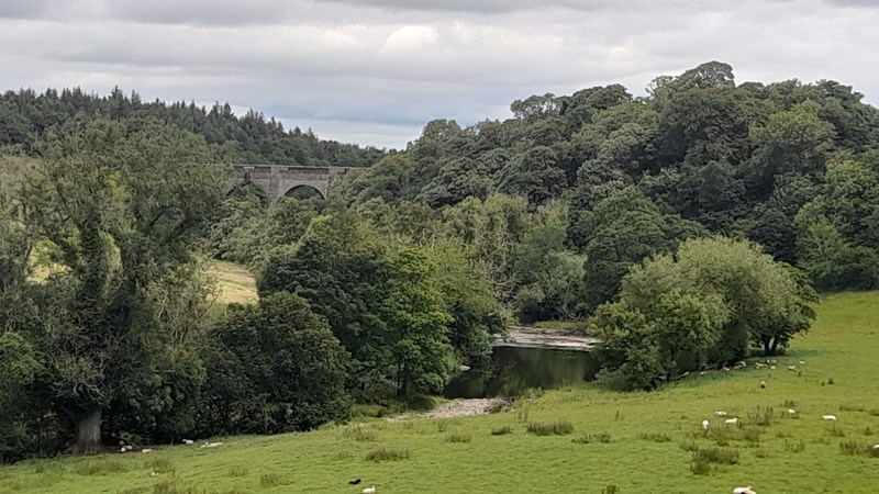 Lin's Mill Aqueduct from afar