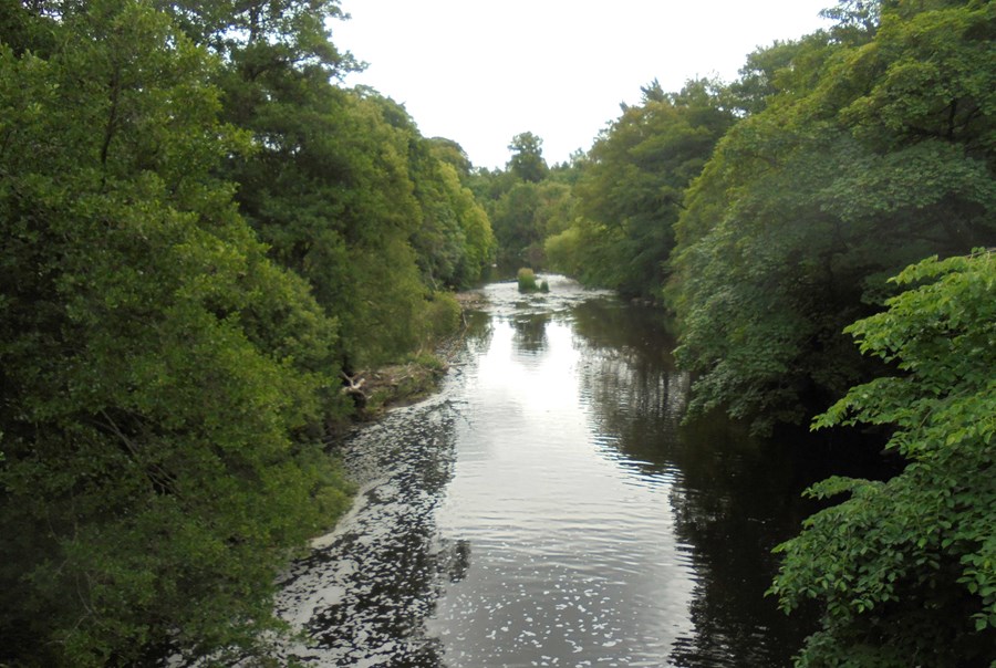 River Almond