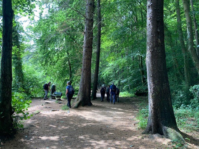 Welcome shade by the River Almond