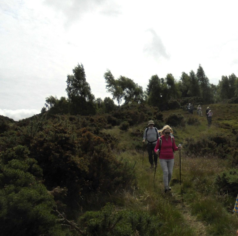 And down on the west side