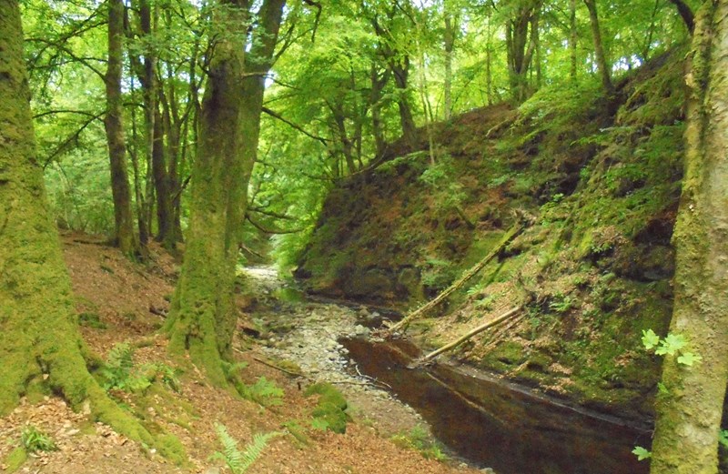Alyth Den