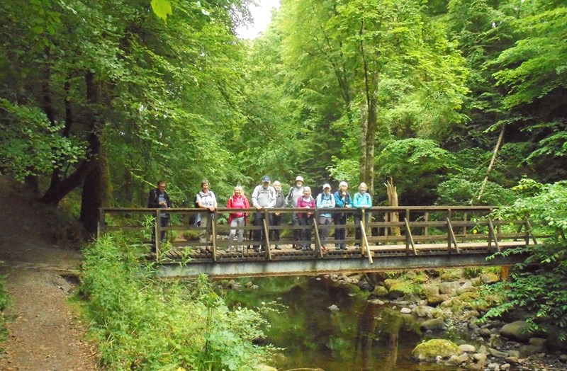 Group on the bridge over the Alyth Burn