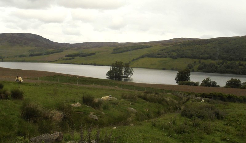 Island on Loch Freuchie