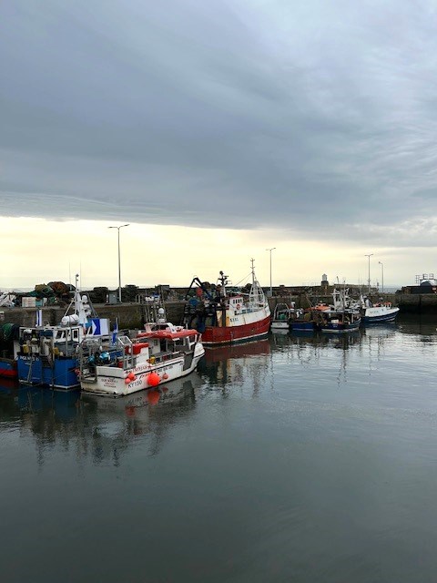 Pittenweem Harbour