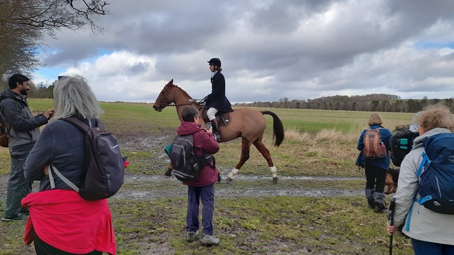 Watching horse and rider go by