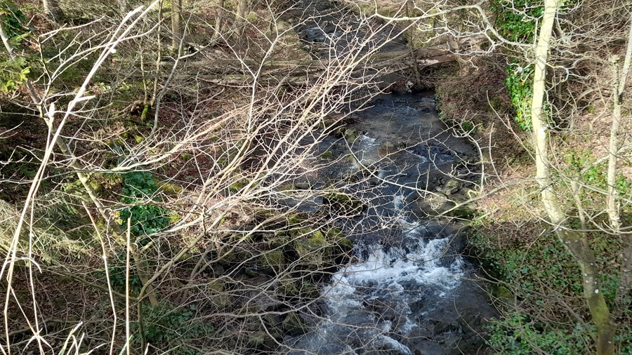 Crossing a burn