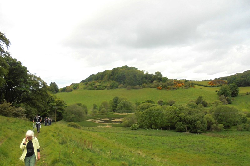 Up towards the Binn