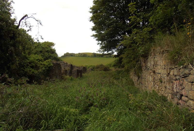 Remains of High Binn village