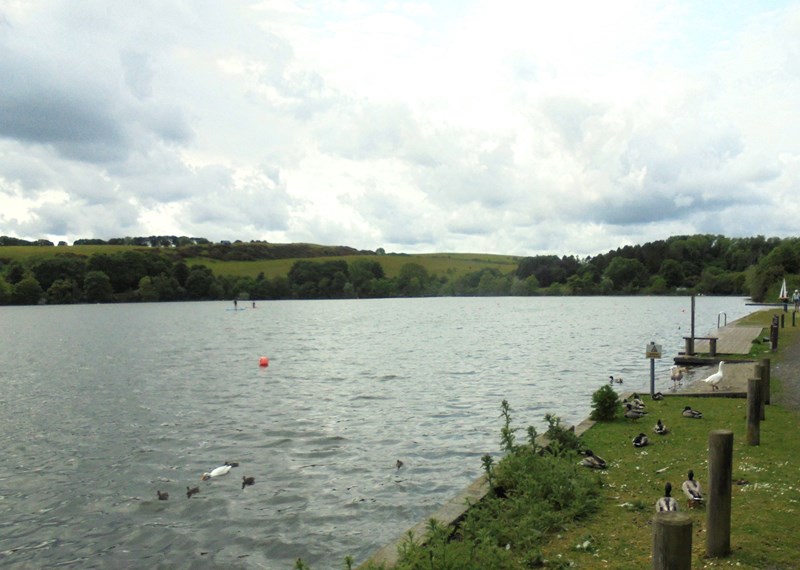 Kinghorn Loch and wildfowl