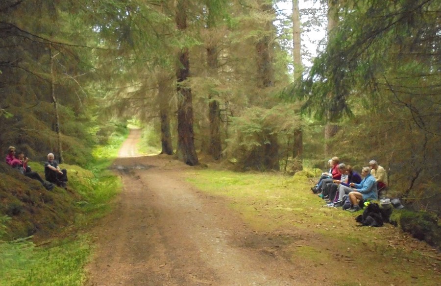 Lunch stop