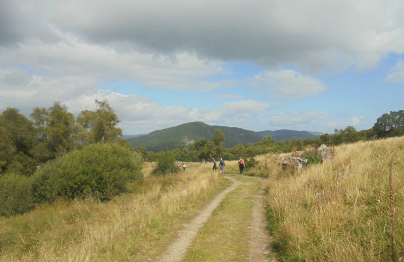 Out of the trees and view to hills