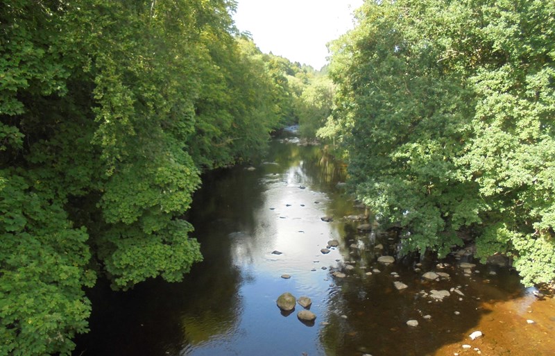 River Braan in the sunshine