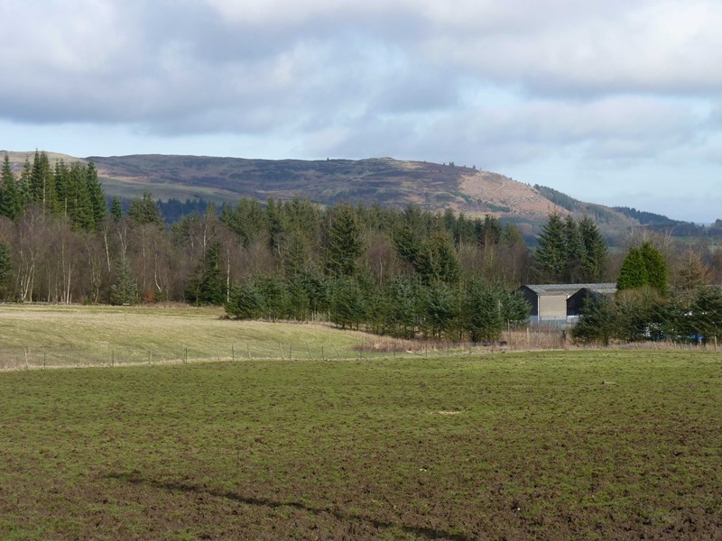 View of Benarty Hill