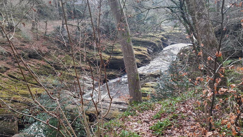 Moss lined channel