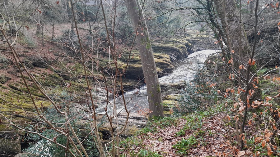 Moss lined channel