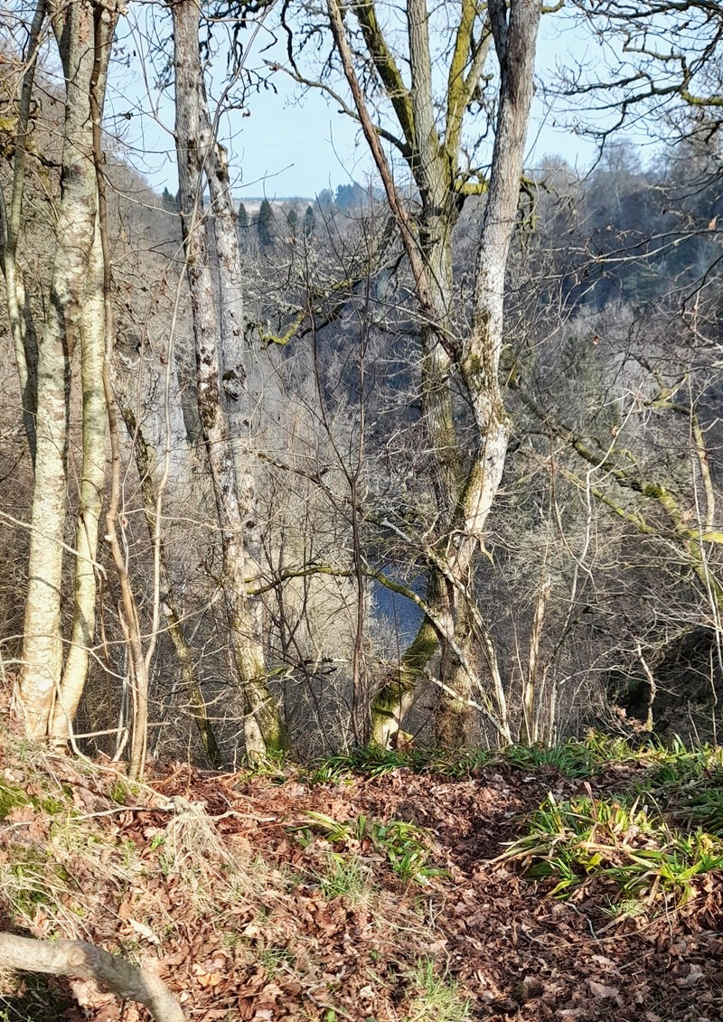 Looking down into the Craighall Gorge.