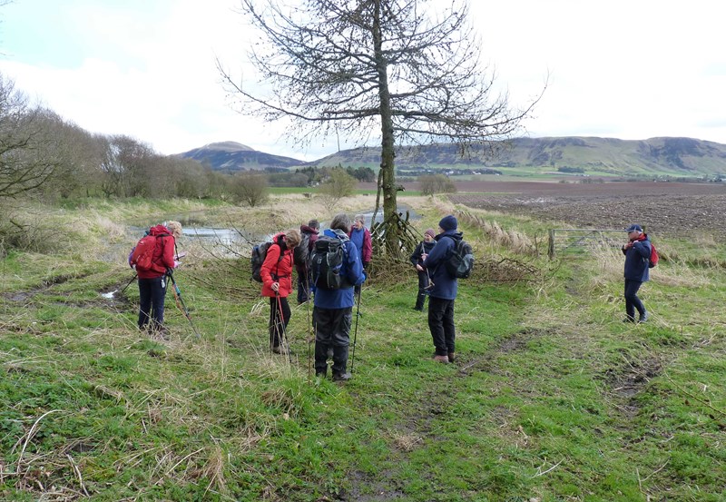 Admiring the wildlife