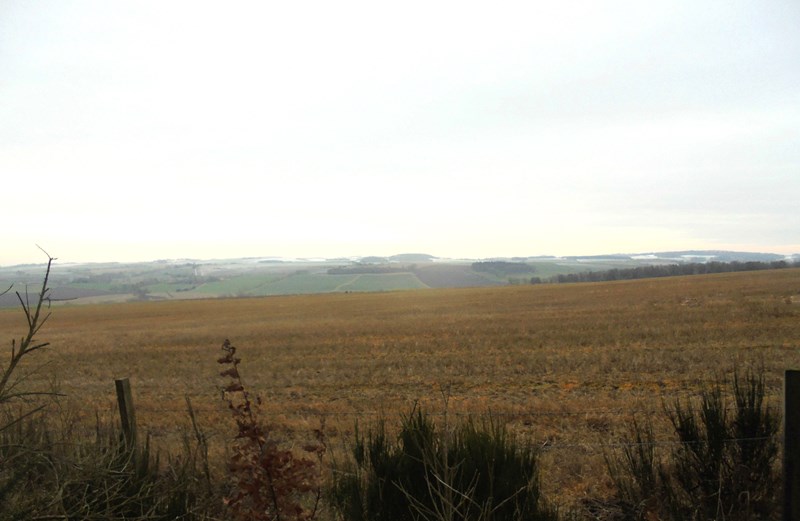 View south