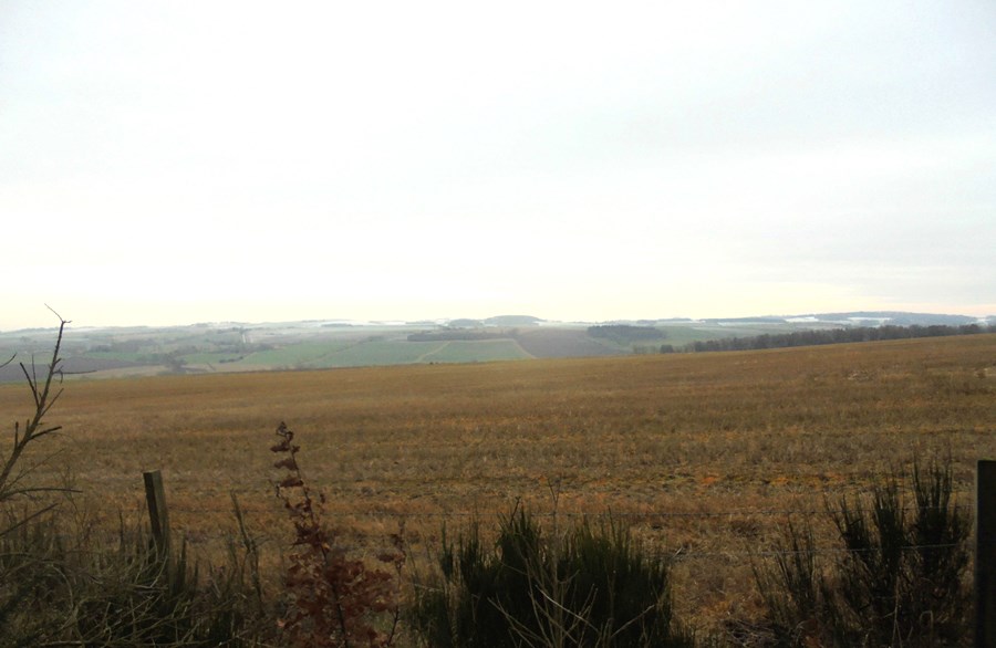 View south