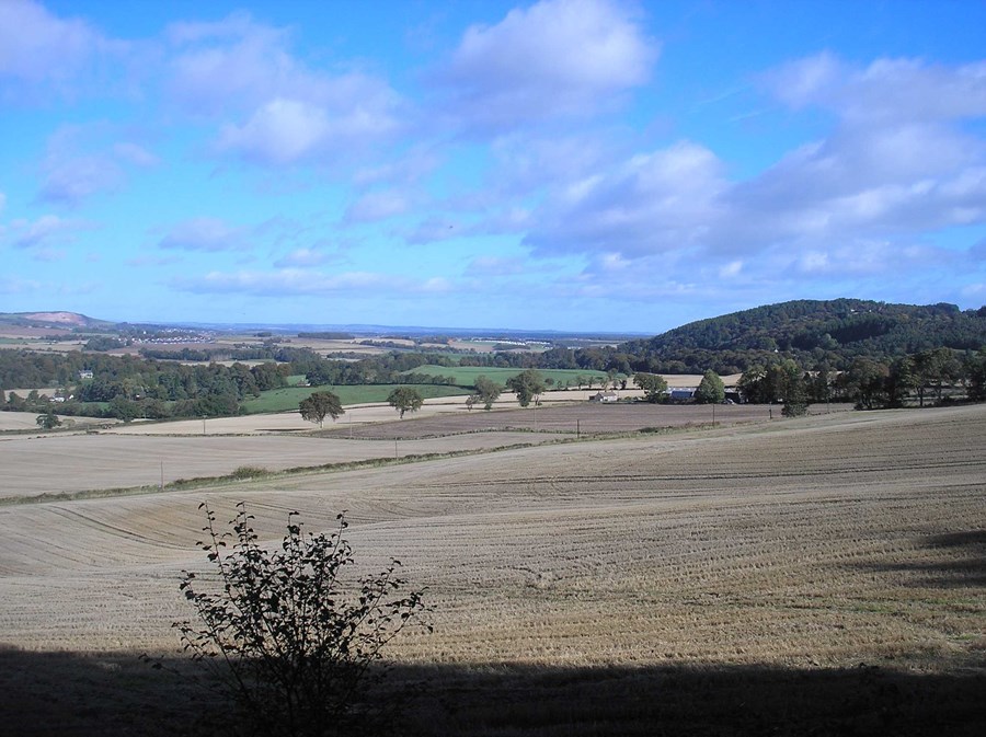 View East to Eden Estuary