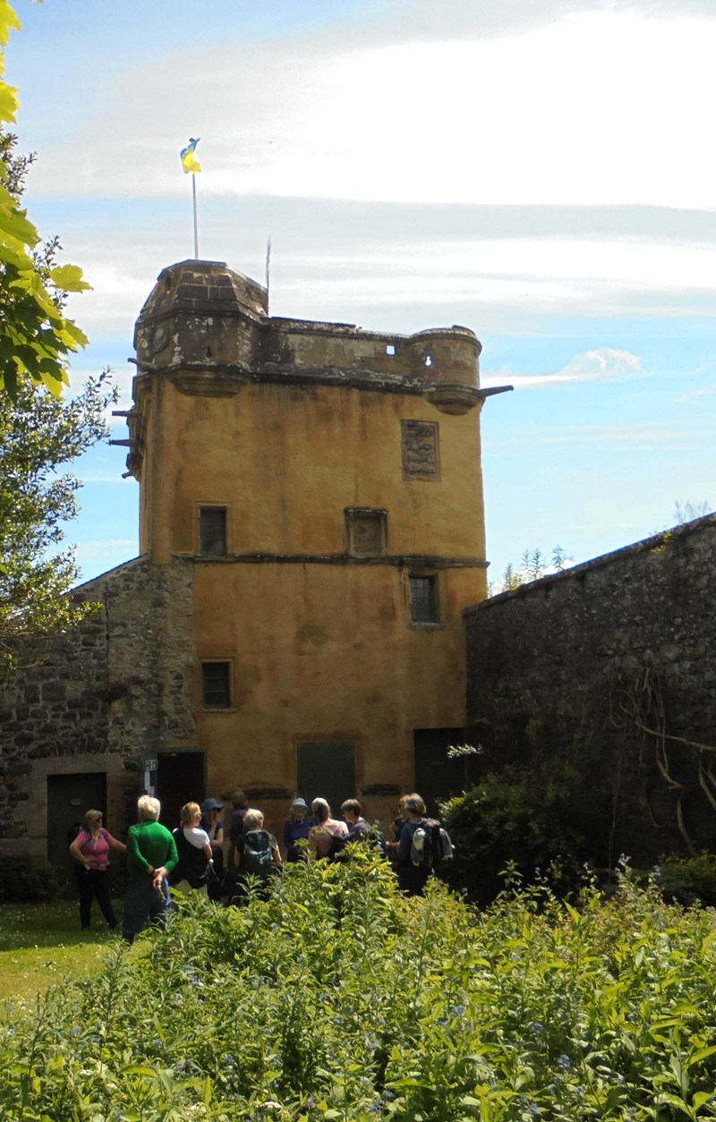 Learning the story of the tower