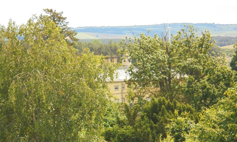 Monimail house through the trees