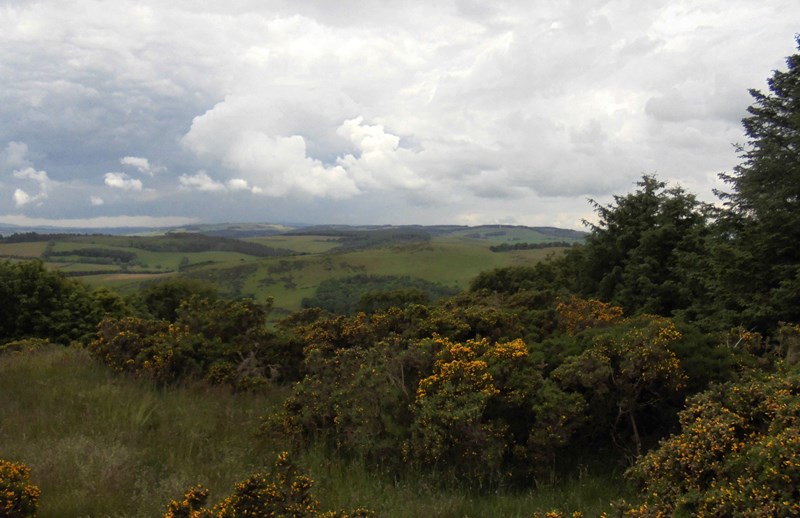 View south east from Cairnie Hill