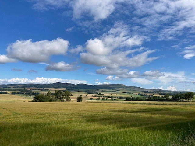 Sidlaws from Templeton Woods