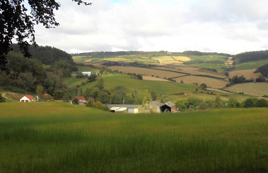 View north east