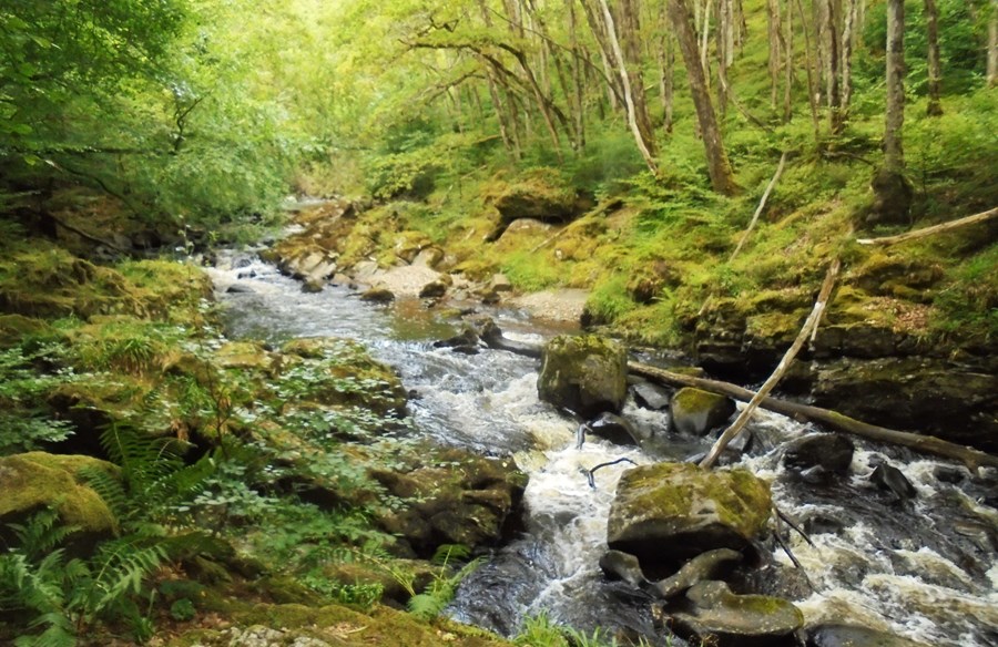 Falls on the River Lednock