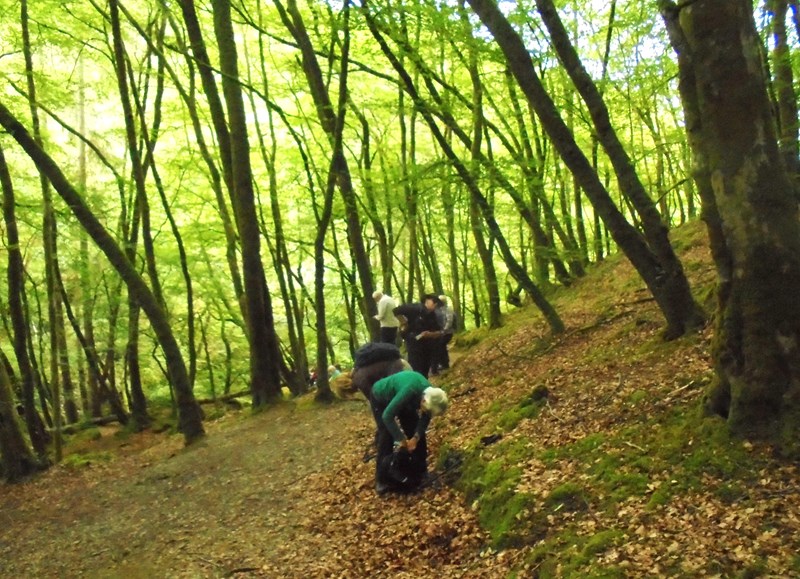 Drinks stop amongst the trees