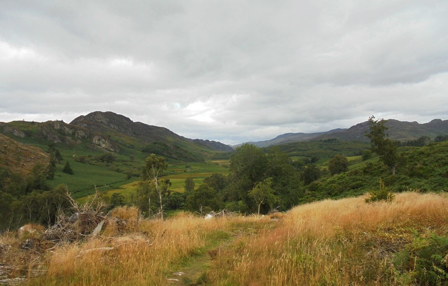 View north in Glen Lednock