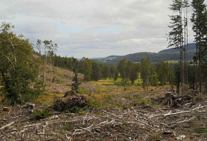 View east towards Comrie Golf Club