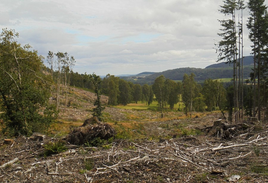 View east towards Comrie Golf Club