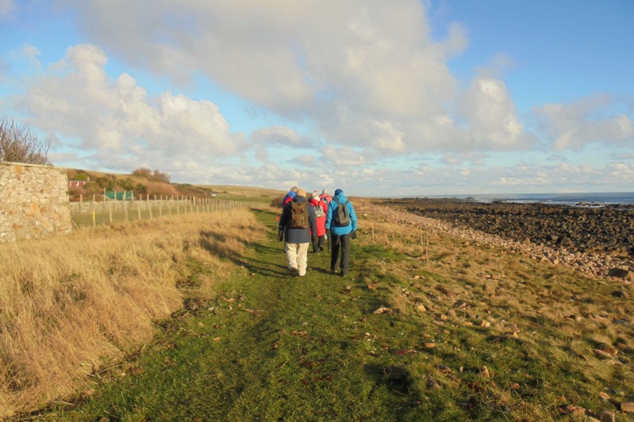 Starting out after lunch