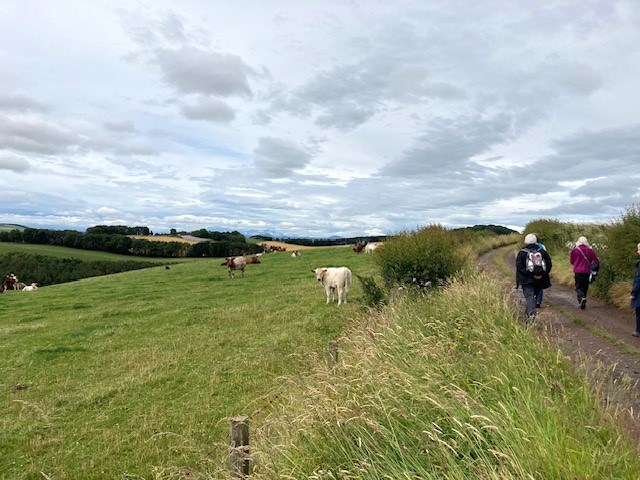 Heading uphill to Fingask