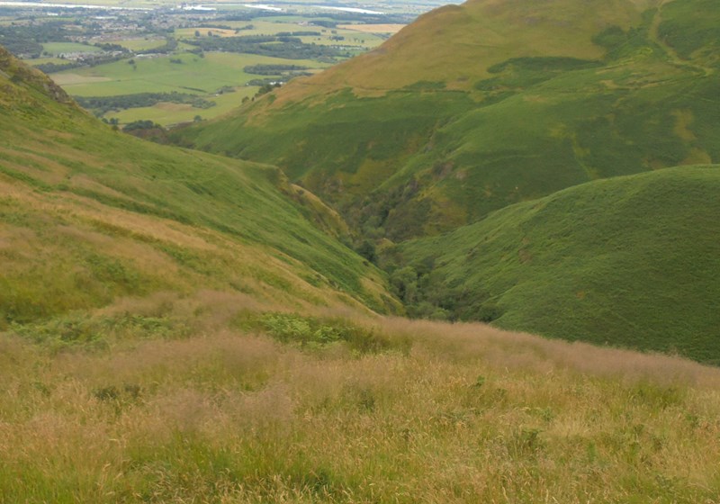 Tillicoutry Glen