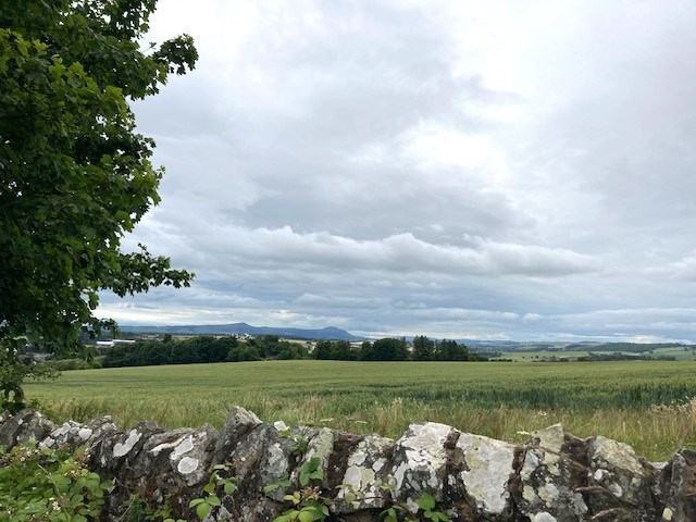 Looking west to the Lomonds