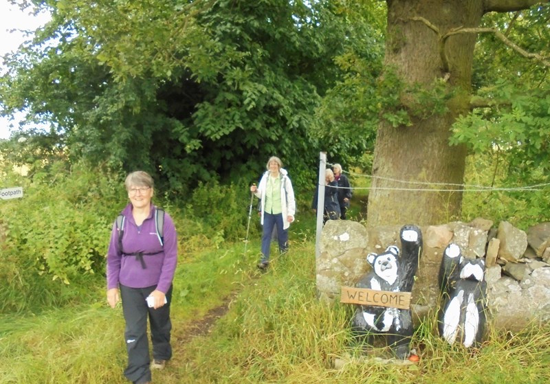 Out of the woods near Foodieash