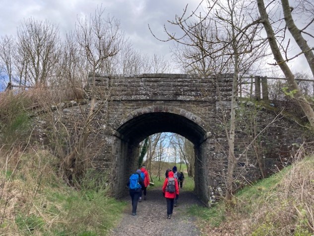 Path towards Rosemill