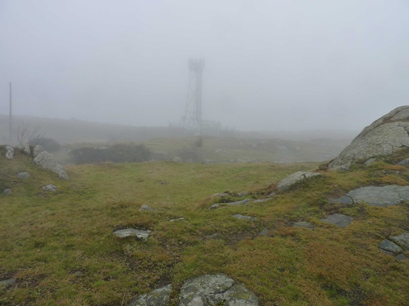 View north on day of walk