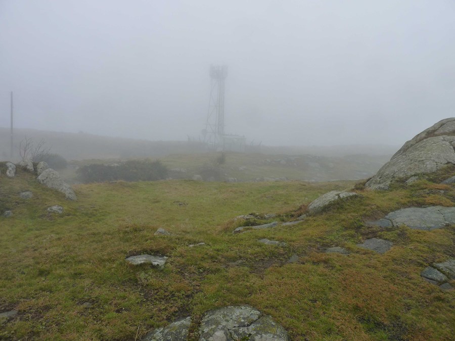 View north on day of walk