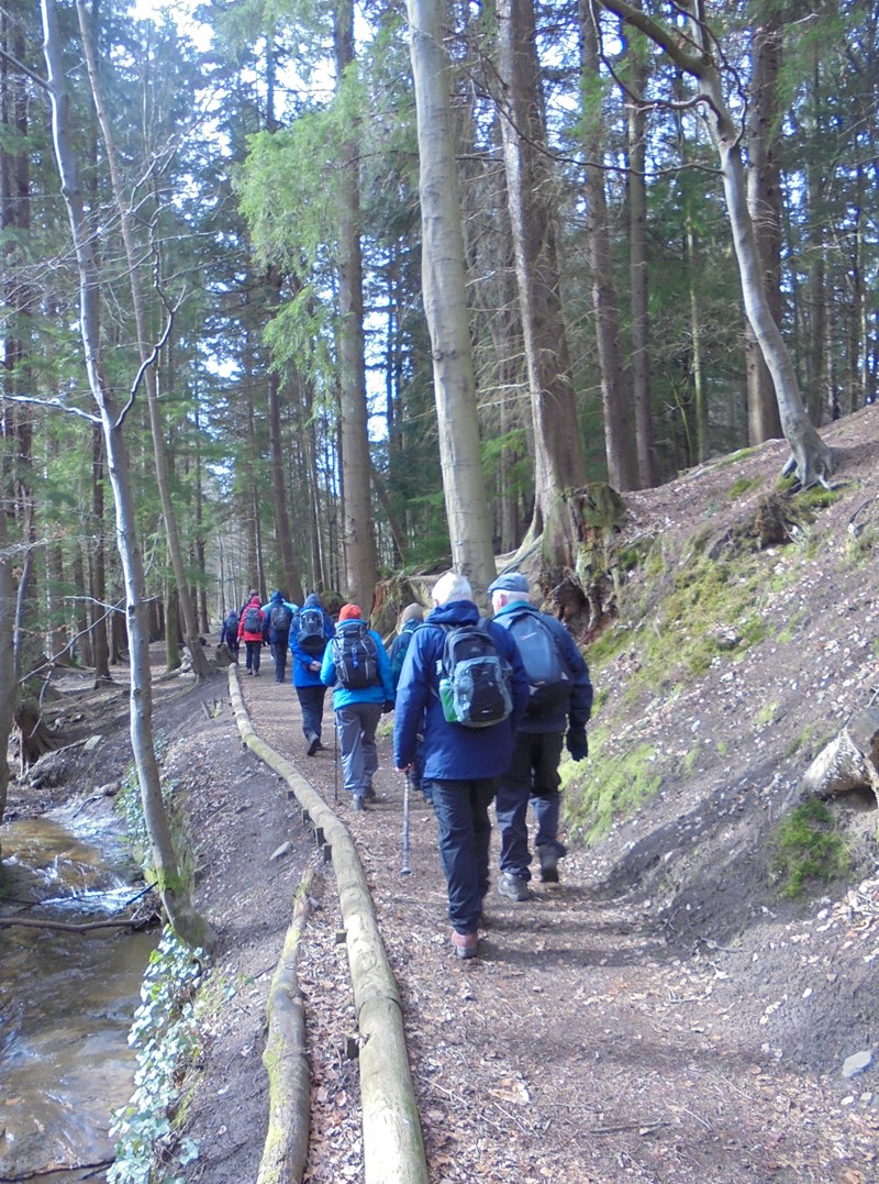 Upwards in Maspie Den