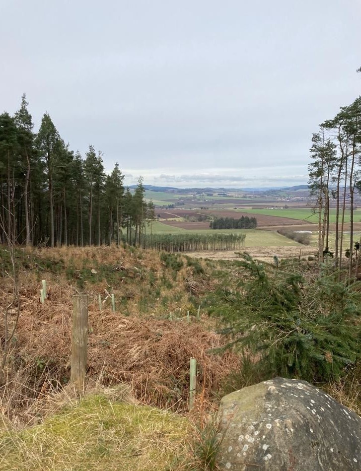 View of the Howe of Fife