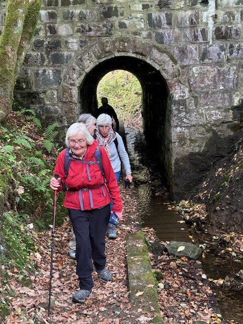 On Fiddlers Path Dunkeld