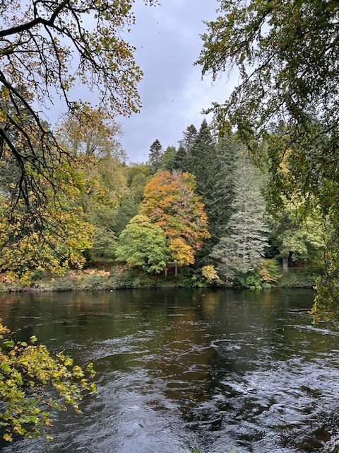Autumn colours Dunkeld