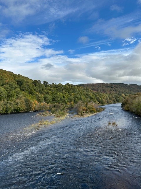 River Tay from Dunkeld Bridge