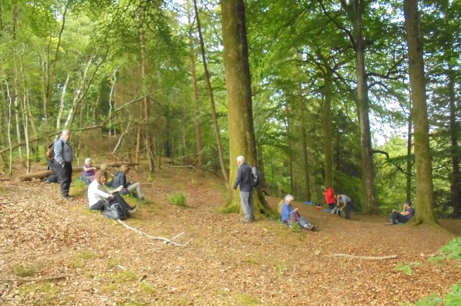 Ready for the off after lunch