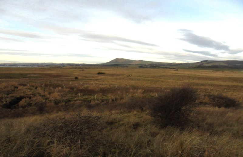 View towards Largo Law
